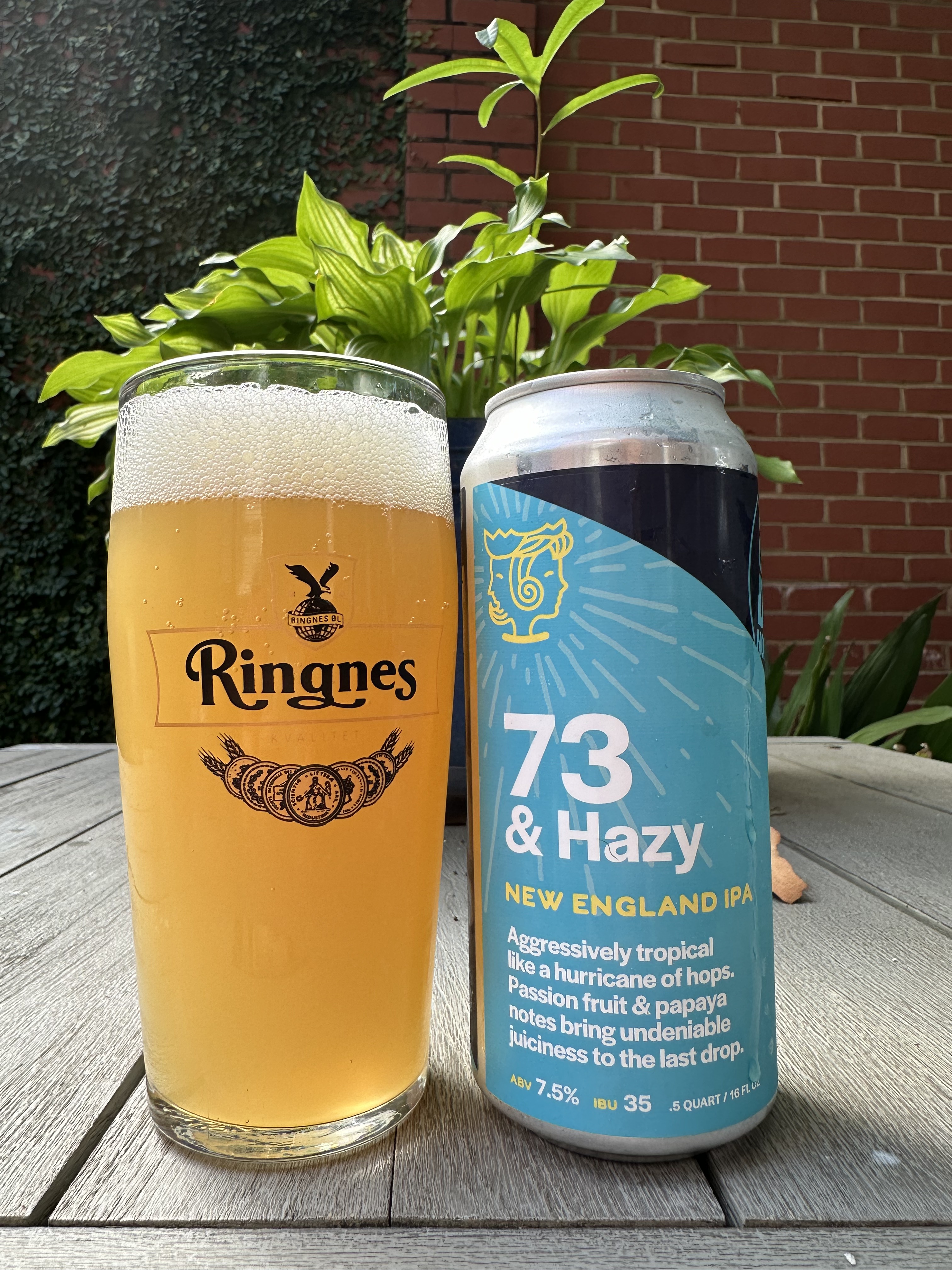 Royal Bliss Brewing Co. 73 & Hazy New England IPA – Best Beer Blog